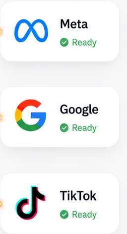 AUDIENCE + ADS